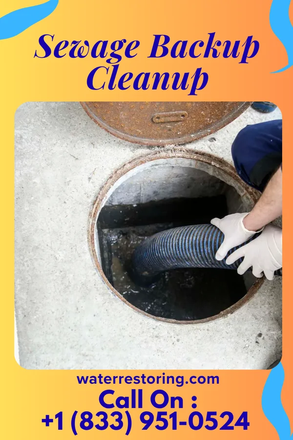 Sewage Backup Cleanup in Gilman, WI