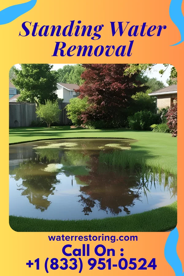 Standing Water Removal in Gilman, WI